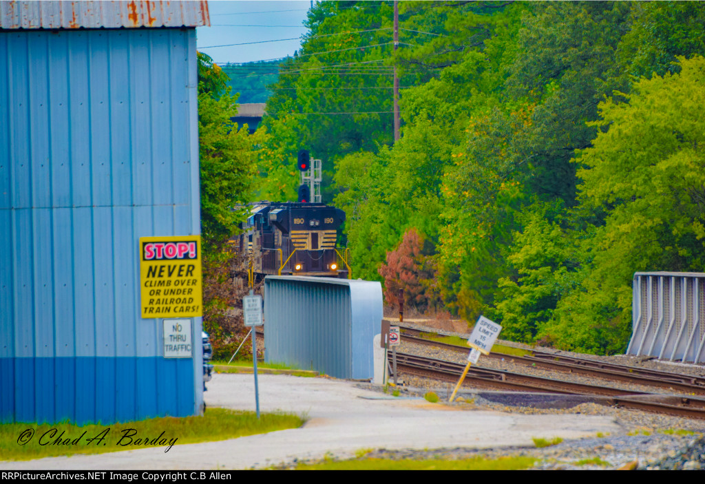 Peeking out of Whitaker Yard